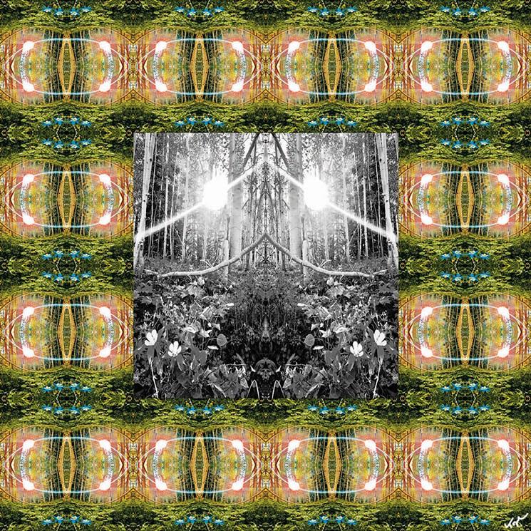 Westword Features Topher's "Photoscope" show at Bitfactory Gallery