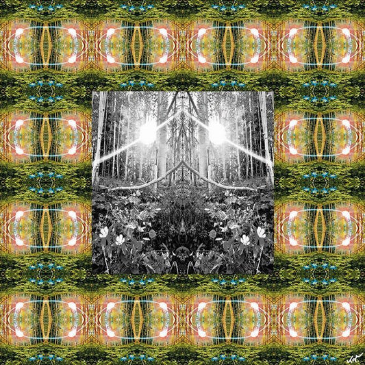 Westword Features Topher's "Photoscope" show at Bitfactory Gallery