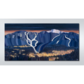 Whistler Lights